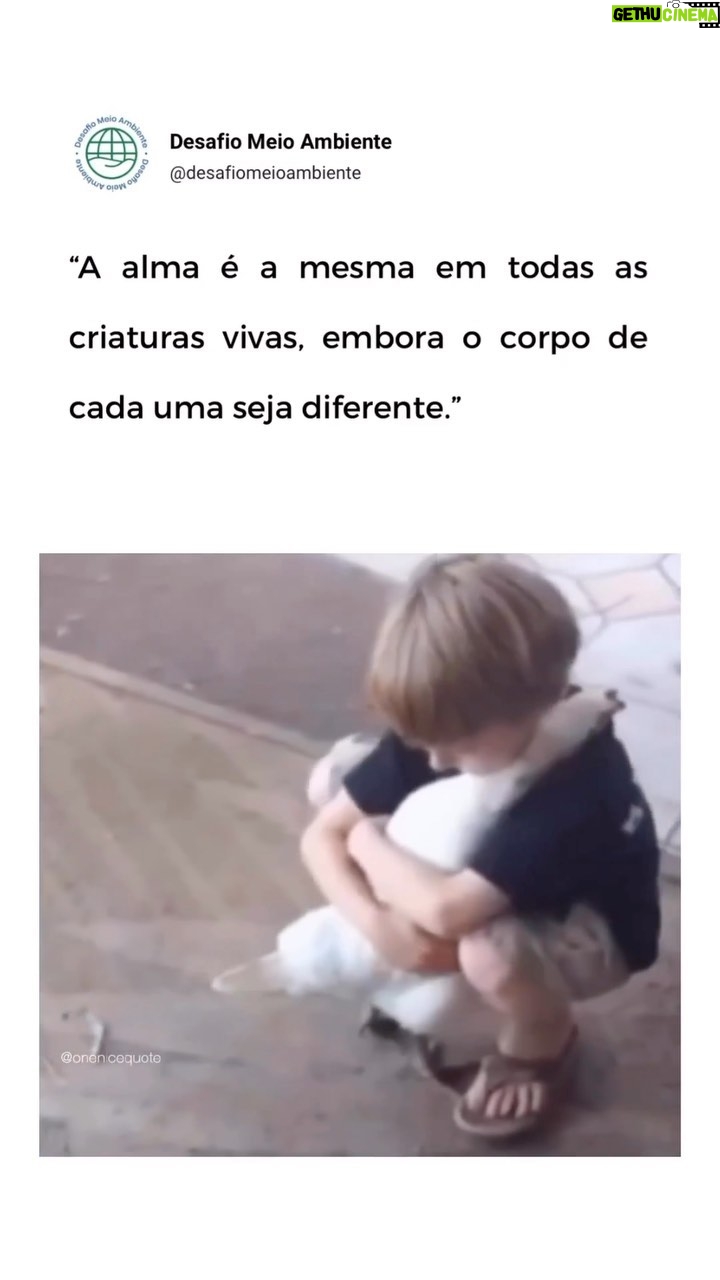 Xuxa Instagram - Temos tanto pra aprender com os animais, não julgam, não tem preconceito, não tem discriminação, não tem ganância, não tem vaidade… o que eles tem??? Amor pra dar, sem usar o nome de Deus como alguns religiosos, políticos, seres humanos podres. Se conseguíssemos olhar as pessoas e o mundo através dos olhos das crianças e dos animais, seria tudo PERFEITO. Repost • @desafiomeioambiente Animais são puro AMOR 🥹 O amor dos animais transcende qualquer barreira, é um sentimento puro e genuíno que nos envolve e nos transforma. São seres especiais que nos ensinam a amar incondicionalmente, a valorizar cada gesto simples de carinho e a encontrar alegria nos pequenos detalhes. Os animais são nossos companheiros de caminhada nessa jornada chamada vida, eles compartilham a Terra conosco e, portanto, cabe a nós cuidar dessa casa em comum, respeitá-los e garantir seus direitos fundamentais. Que esse vídeo aqueça o seu coração e te lembre de se reconectar com a natureza. Fazemos parte dela. 💚