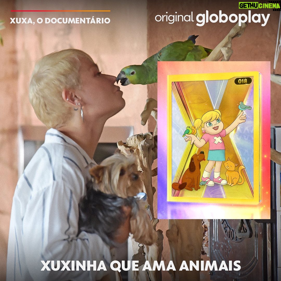 Xuxa Instagram - Eu tô apaixonado pelas novas figurinhas NFTs da nossa rainha @xuxameneghel. 😍 Você já conferiu? O link tá na bio! E olha que legal: Todo o lucro obtido nas vendas dessa 2ª coleção será doado ao @crianca.esperanca! 🩷 O resultado auferido *até 31/12/2023 com as vendas diretas dos NFTs da Coleção 2 será revertido como doação para o Fundo Criança Esperança - Campanha válida por todo o período da ação do Xuxaverso –(*) representa a receita líquida com as vendas, após deduções de tributos, custos operacionais e outros encargos incidentes. #PraTodosVerem: Carrossel com imagens da personagem Xuxinha em figurinhas NFT do Xuxaverso, com uma foto similar da apresentadora no plano de fundo. Na primeira, a “Xuxinha que ama os animais”. Ela veste uma camisa rosa com um X em branco, short azul e tênis rosa, enquanto está rodeada de animais. Na segunda, a “Xuxinha cantora”. Ela veste uma camisa rosa com um X em branco, short azul e tênis rosa, enquanto segura um microfone.
