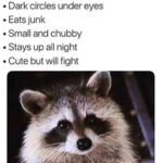 Yadira Guevara-Prip Instagram - Fall dump