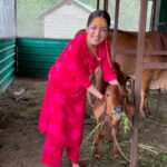 Yami Gautam Instagram - Introducing the newest member of our ever growing family, NANDI! Also lovingly know as Nandu, NandLal and NandKishor. ❤️🕉️🐮