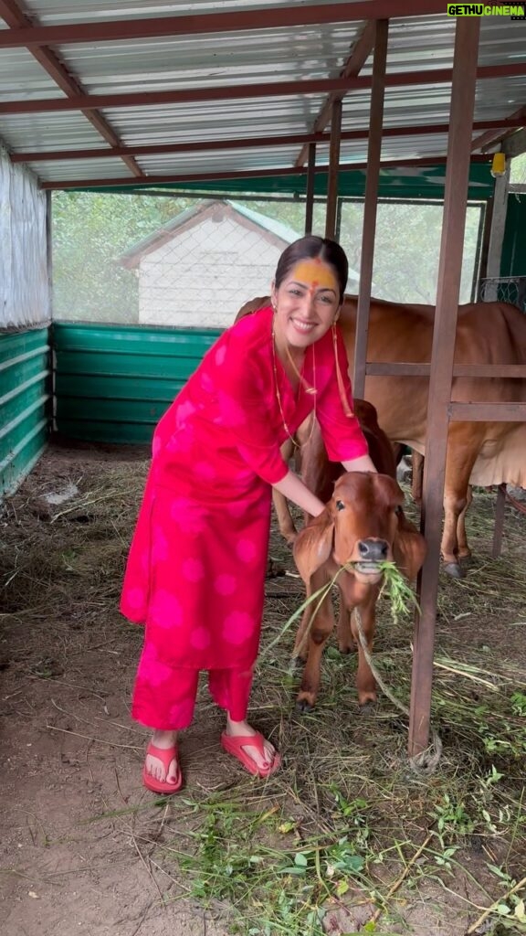 Yami Gautam Instagram - Introducing the newest member of our ever growing family, NANDI! Also lovingly know as Nandu, NandLal and NandKishor. ❤️🕉️🐮