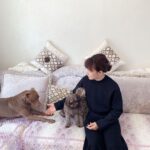 Yan Xiaonan Instagram - Miss my three little buddies at home 🐶🐶🐶 #dog #doglover #dogsofinstagram #puppy #puppylove #puppylife