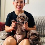 Yan Xiaonan Instagram - Finally, my two little buddies come to Sacramento to stay with me! 🐶💖 #puppy #puppylove #puppylife #dog #doglover Sacramento, California