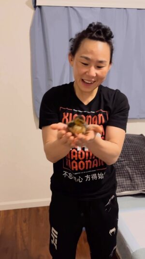 Yan Xiaonan Instagram - Back to Sacramento, my little buddy is growing fast!🦆❤️