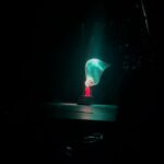 Yana Rudkovskaya Instagram - Вчера на исторической сцене Большого театра мы увидели танец души и любви «Лазги» от национального балета Узбекистана. Невероятная атмосфера с традициями Великого и очень талантливого народа . Большая благодарность нашей Диоре @diora_u за этот незабываемый вечер в Большом ❤️ Большой театр России / Bolshoi Theatre of Russia