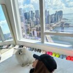 Yanet Garcia Instagram – So grateful 🏡❤️🐶 @iamthemamacita Home Sweet Home