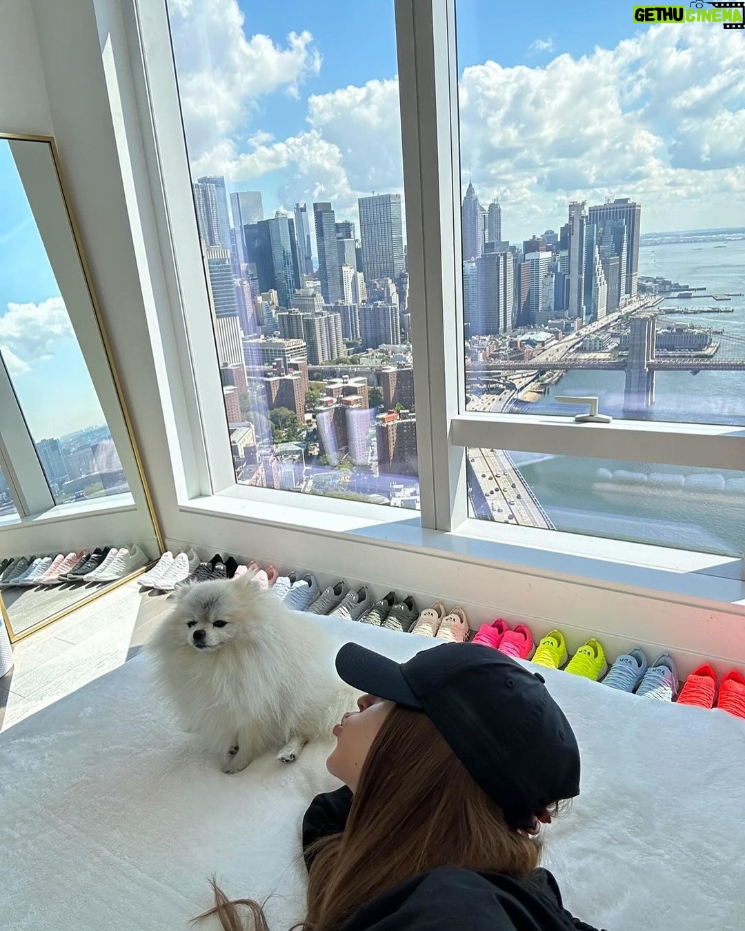 Yanet Garcia Instagram - So grateful 🏡❤️🐶 @iamthemamacita Home Sweet Home