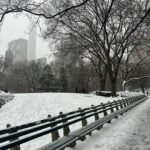 Yanet Garcia Instagram - “If you follow your heart just right, you’ll end up in New York.” ⛄️❄️ Central Park, New York
