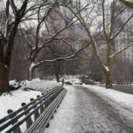 Yanet Garcia Instagram - “If you follow your heart just right, you’ll end up in New York.” ⛄️❄️ Central Park, New York