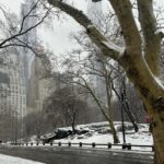 Yanet Garcia Instagram - “If you follow your heart just right, you’ll end up in New York.” ⛄️❄️ Central Park, New York
