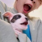 Yangyang Instagram – Thank you @buzzfeedceleb for giving us such a cute interview❤️❤️ hope to do another puppy interview in the future!!