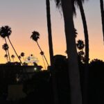 Yangyang Instagram – The City Of Angels🪽 Los Angeles