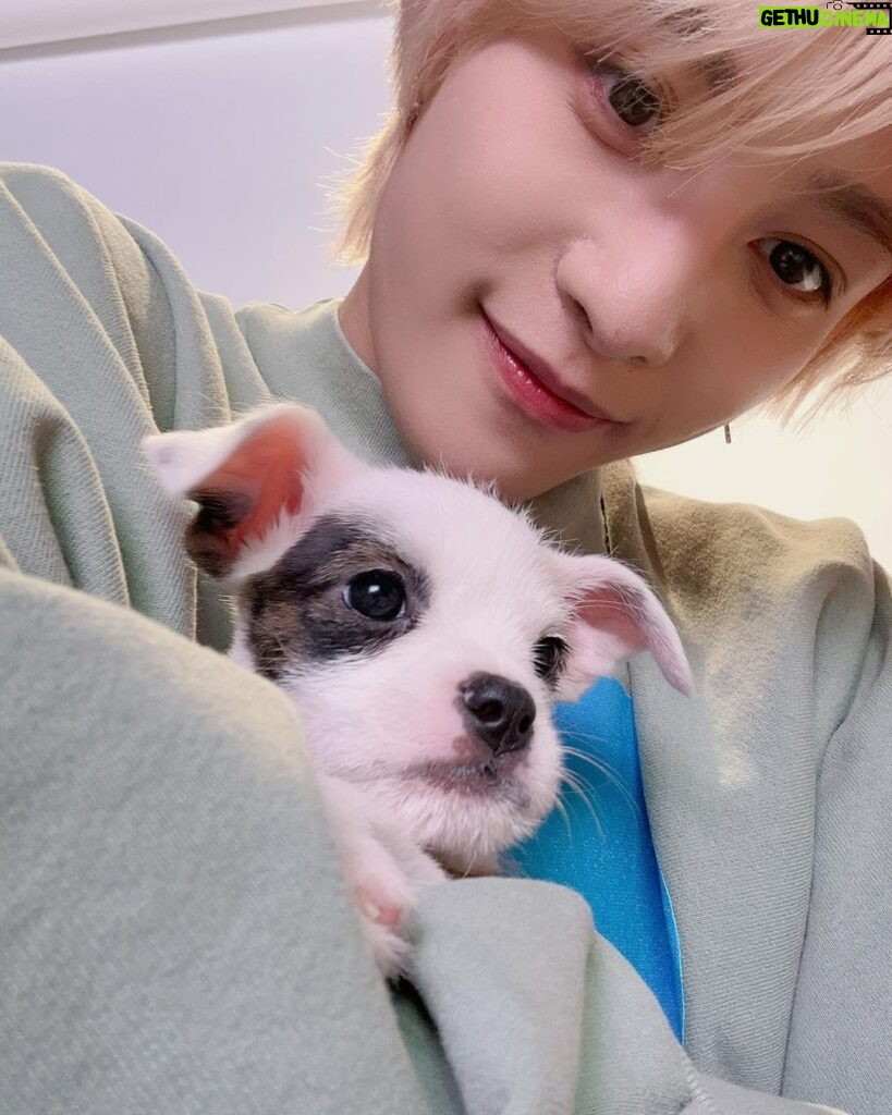 Yangyang Instagram - Thank you @buzzfeedceleb for giving us such a cute interview❤❤ hope to do another puppy interview in the future!!
