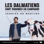 Yannick De Martino Instagram - Bon bien voilà l’affiche de mon premier One Man Show ! Ah oui, pour des billets, voir mon site web dans mon profil! J’ai attaqué le texte accompagnant cette annonce de plusieurs manières… (Attaqué dans le sens de choisir l’angle… Je n’ai pas essayé de poignarder une publication…) J’ai eu de la difficulté à choisir le ton que j’allais prendre puisque mes sentiments sont très nombreux et diversifiés par rapport à cet évènement. Euphorie, stress, fierté, excitation, peur, douleur… En fait la douleur ça n’a rien à voir avec l’appréhension du show, c’est juste que je viens de me brûler parce que j’ai trop fait chauffer mon restant de lasagne... Pour poursuivre, j’ai décidé de faire une entrevue avec moi-même... La suite de l’histoire sur ma page Facebook!