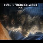 Yannick De Martino Instagram - Petit lapin furax.