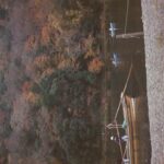Yasamin Jasem Instagram - U k i y o living in the moment, detached from the bothers of life. “The Floating World” #filmphotography Arashiyama