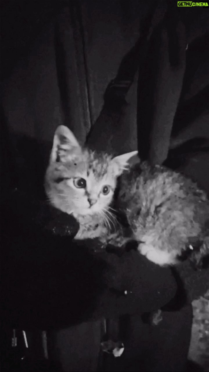 Yasamin Jasem Instagram - Pamali Dusun Pocong spoiler with no context 🐱