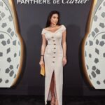 Yasmin Sabri Instagram - #InToTheWild @cartier Photographer @nicolasgerardin Custom made @balmain dress ‏@olivier_rousteing Dubai, United Arab Emirates
