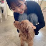 Yasuda Momone Instagram - ドッグカフェに行ってきました🐶 . . . わんちゃんメニューもいっぱいあったのでオススメです☺️ 保護犬活動もされていて、とってもかわいいわんちゃんと触れ合えました💓 トイプードルちゃんはずっと元気いっぱいでたくさんなでさせてくれました💞 犬にも人にもフレンドリーでした🫧 チワワちゃんは怖がりみたいで 初めは自分のベッドからなかなか出てこなかったけど、時間が経つにつれて自分から近づいてきてくれました💖かわいすぎる😮‍💨 癒されました🐾 . . . #保護犬のいるドッグカフェゼロ #犬 #保護犬カフェ #トイプードル #チワワ #犬スタグラム #いぬすたぐらむ #犬のいる暮らし #犬同伴カフェ #osaka #dog #dogstagram