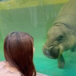 Yasuda Momone Instagram - 癒された💗 動物すき🫶🏻 #ニフレル #大阪観光 #大阪万博 #osaka