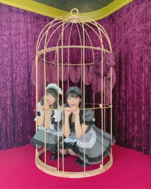 Yasuda Momone Instagram - #ゆずもも

いっぱい載せとこ🫧✨
明日たのしんで💓💓

#nmb48
#ドラフト2期生