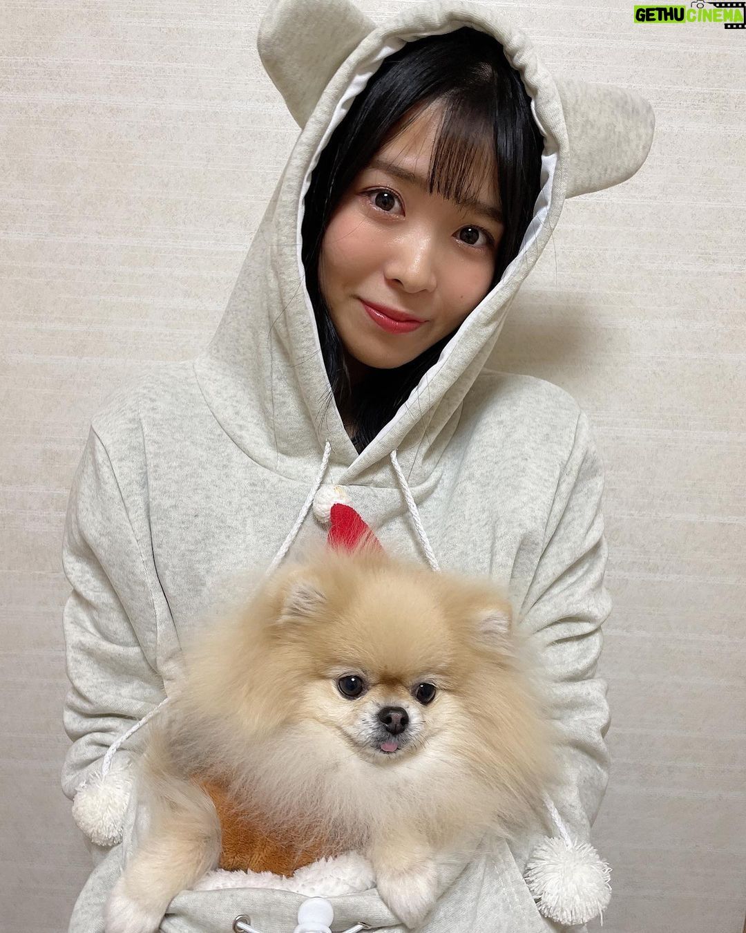 Yasuda Momone Instagram - . おもろい服みつけました笑笑 3枚目ふたりとも真逆みてる笑笑 #カンガルー