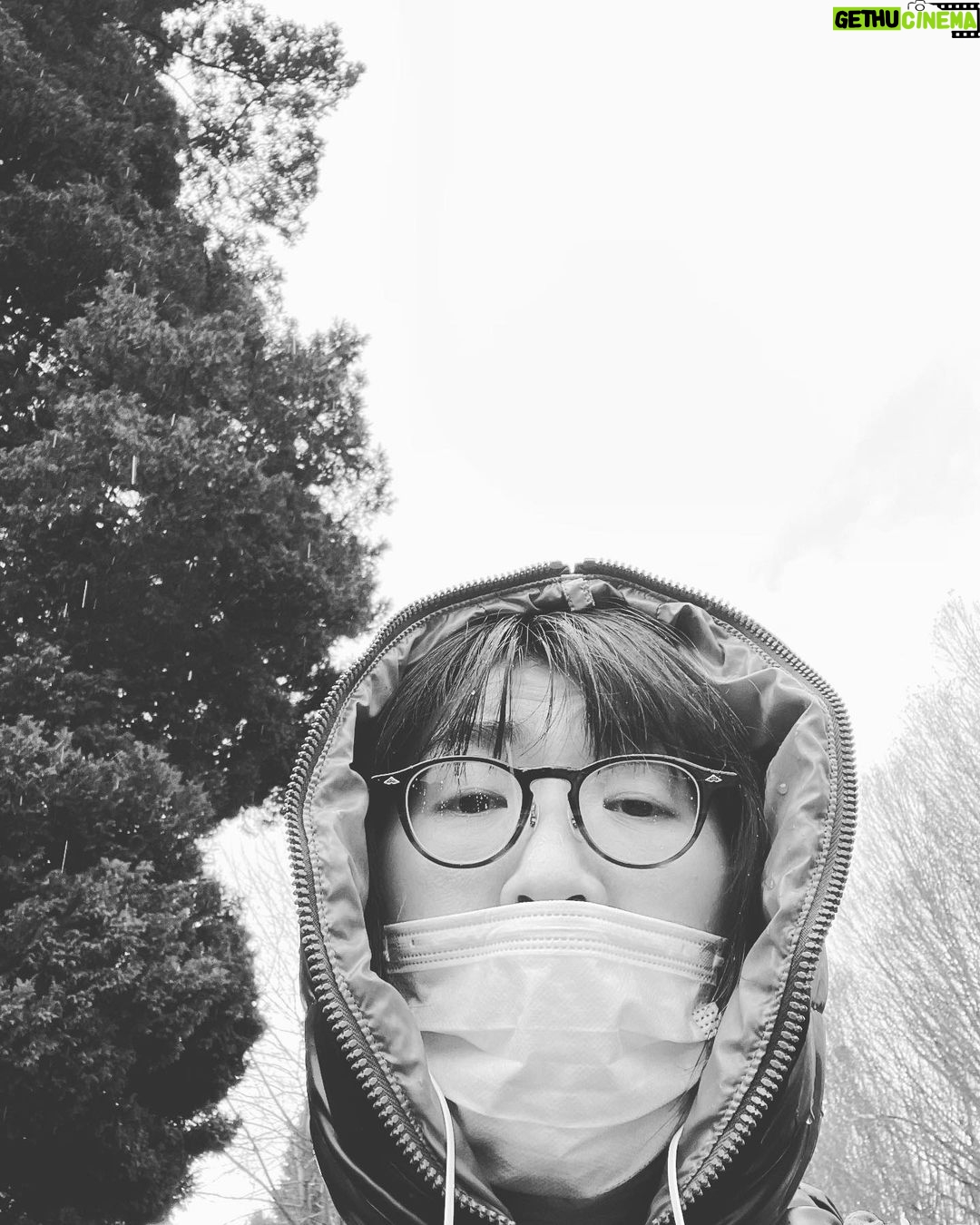 Yasuko Mitsuura - 24.7K Likes - ヘトヘトになった学校帰り、雹(ひょう)が降ってきた。痛い。白いつぶつぶ見えるかしら?
痛い。