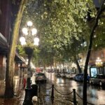 Yasuko Mitsuura Instagram - 夏が終わり 雨の冬に変わりつつあります。