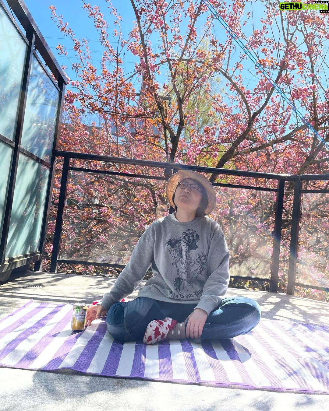 Yasuko Mitsuura Instagram - 花が綺麗すぎる。 Stunning flowers