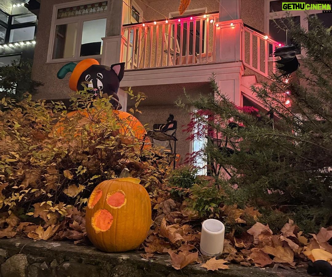 Yasuko Mitsuura Instagram - Halloween 🎃