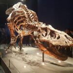 Yeşim Büber Instagram – Paris’ te T- Rex sergisine denk geldik! Muséum national d’Histoire naturelle