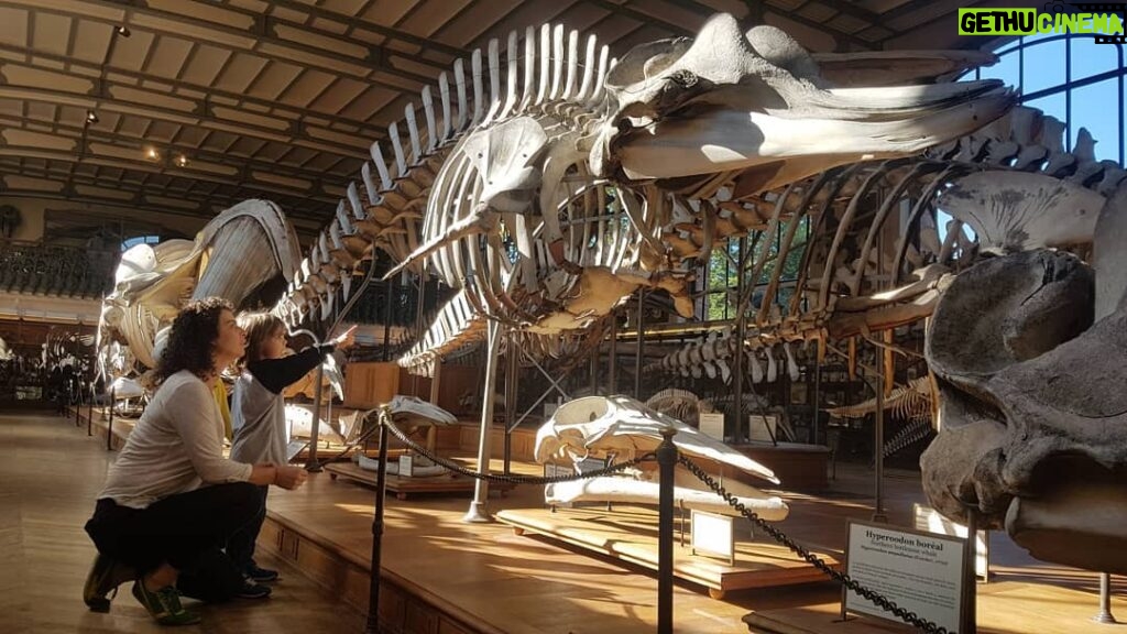Yeşim Büber Instagram - Paris' te T- Rex sergisine denk geldik! Muséum national d'Histoire naturelle