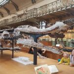 Yeşim Büber Instagram - Paris' te T- Rex sergisine denk geldik! Muséum national d'Histoire naturelle
