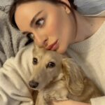 Yekaterina Varnava Instagram - Мечты Биркина🐶