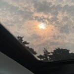 Yeojin Instagram - 🔅🖼️🌆🌷🐱🐶