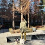 Yesung Instagram - 우리의 시간 🐾🐾 Seoul, Korea