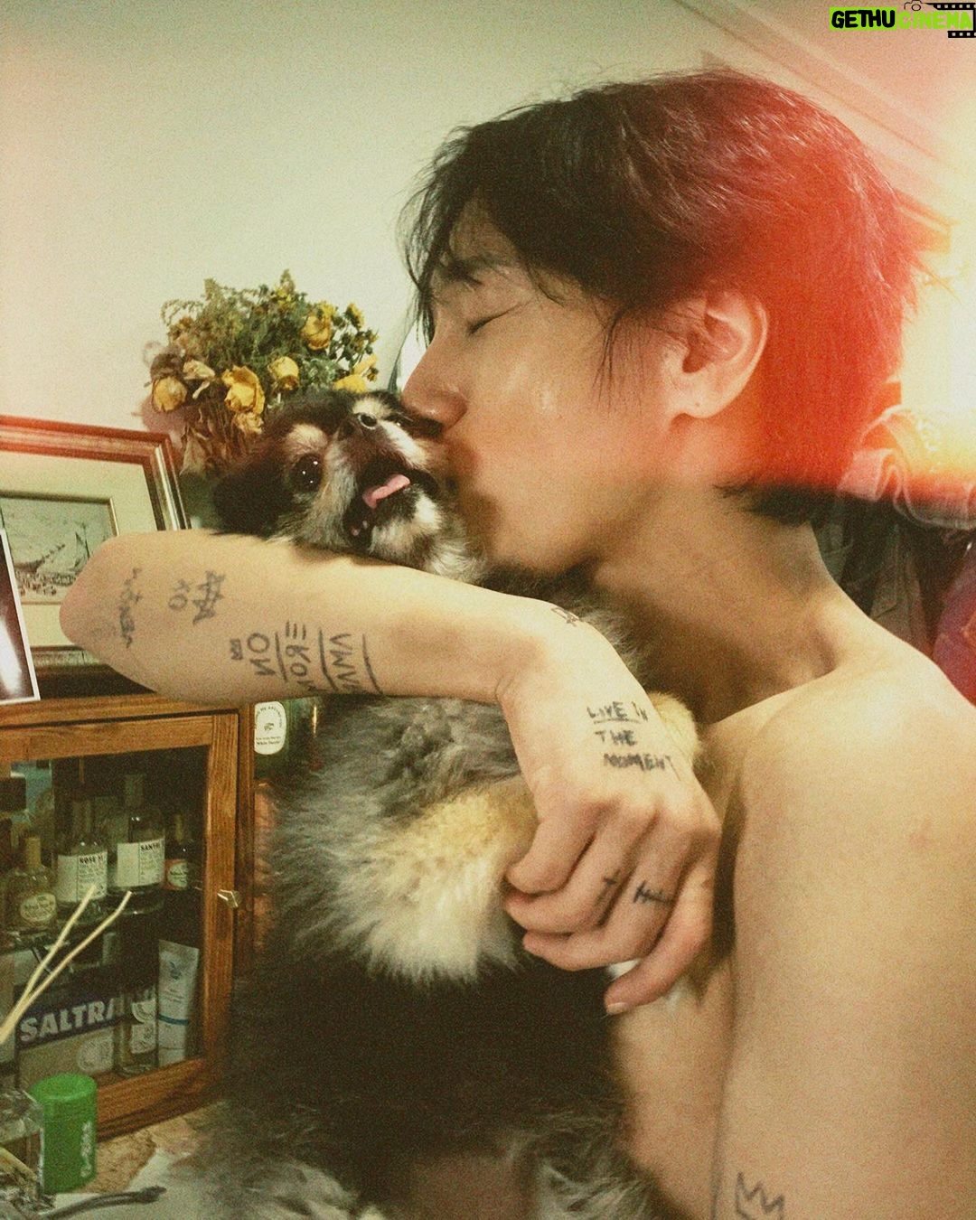 Yesung - 402.5K Likes - مرسی 🐶