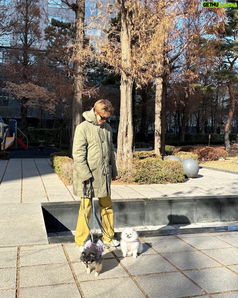 Yesung Instagram - 우리의 시간 🐾🐾 Seoul, Korea