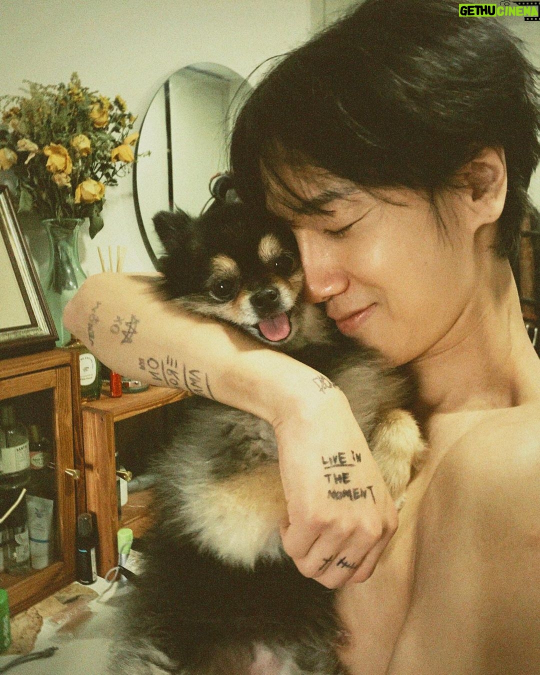 Yesung - 402.5K Likes - مرسی 🐶