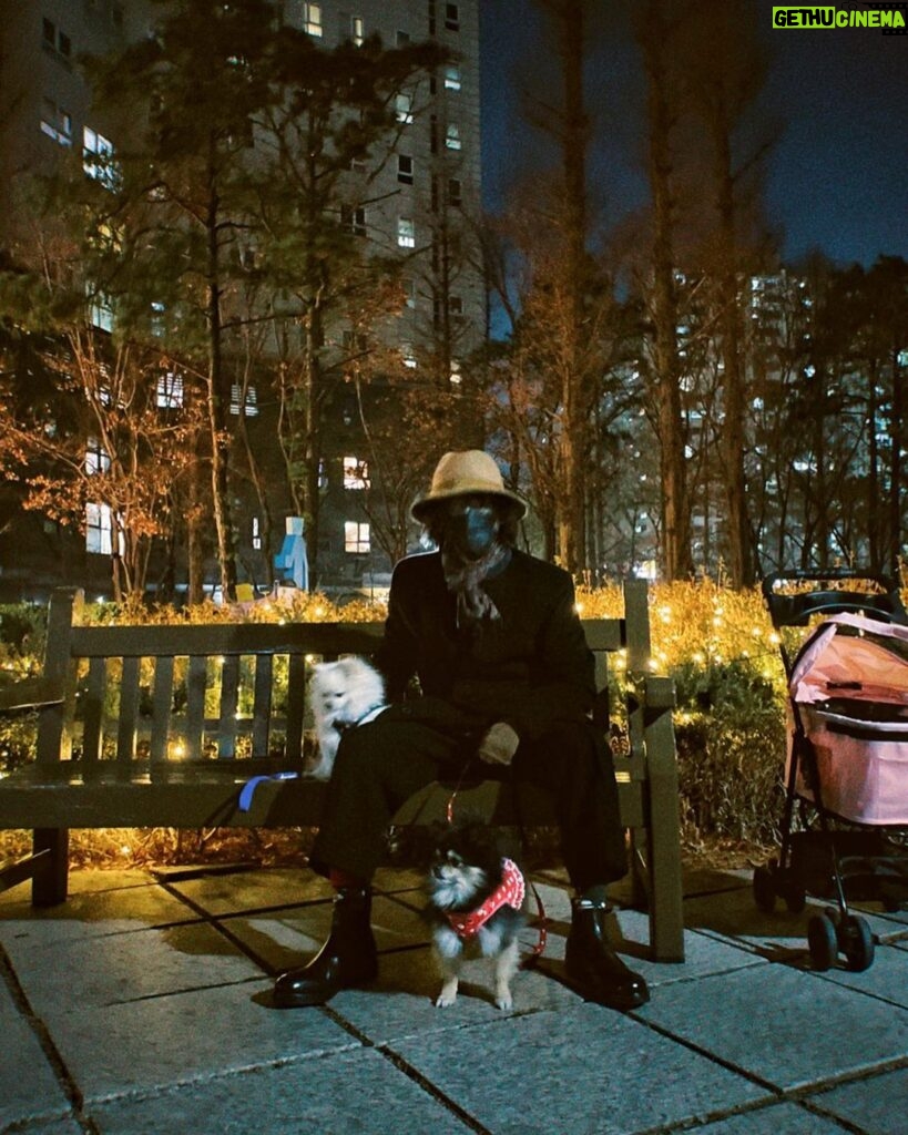 Yesung Instagram - 크리스마스에도 함께한 산책 🐾🐾