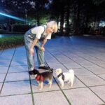 Yesung Instagram - paseo en un día soleado de hace dos años 🐾🐾