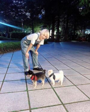 Yesung Instagram - paseo en un día soleado de hace dos años 🐾🐾