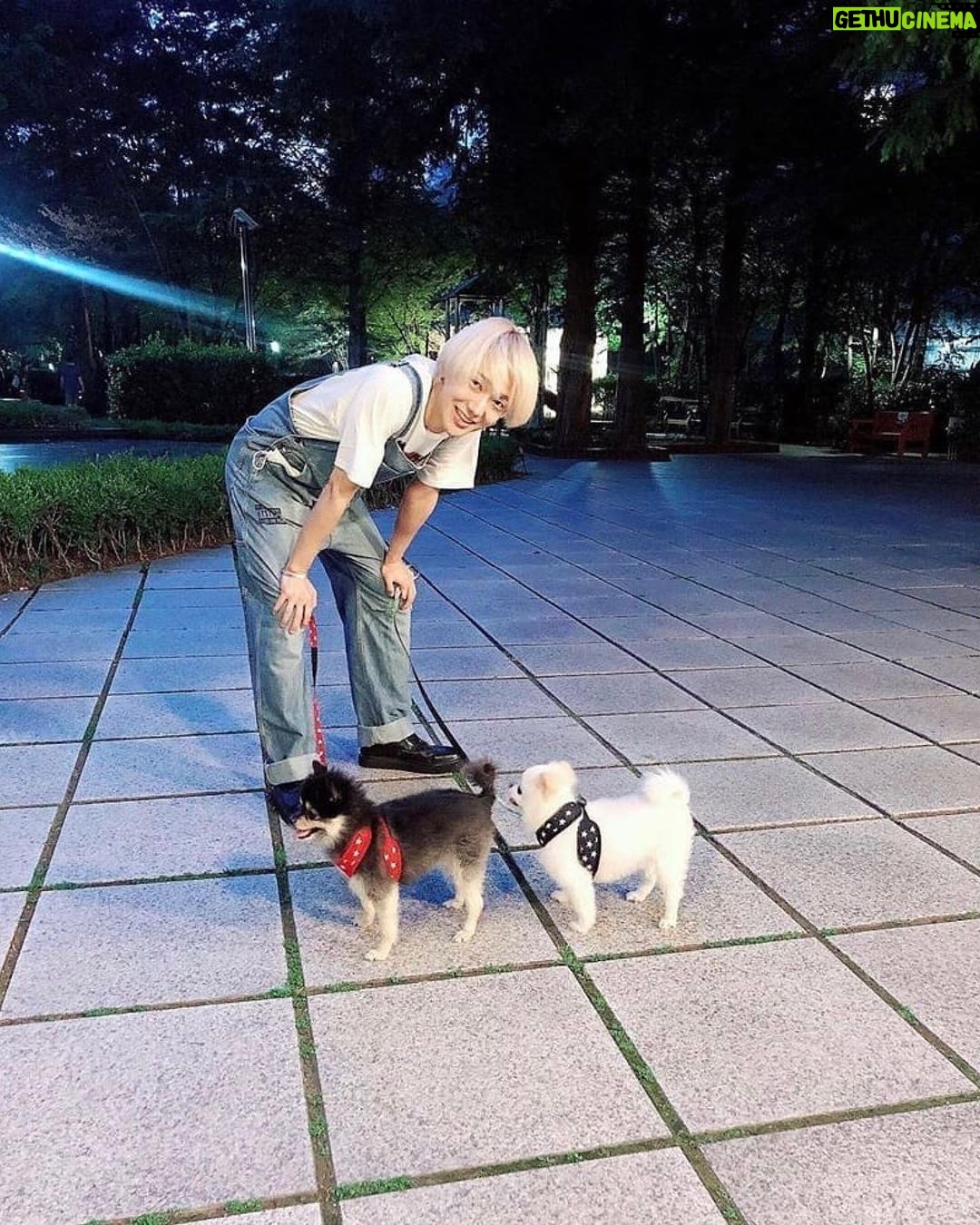 Yesung - 198.9K Likes - paseo en un día soleado de hace dos años 🐾🐾
