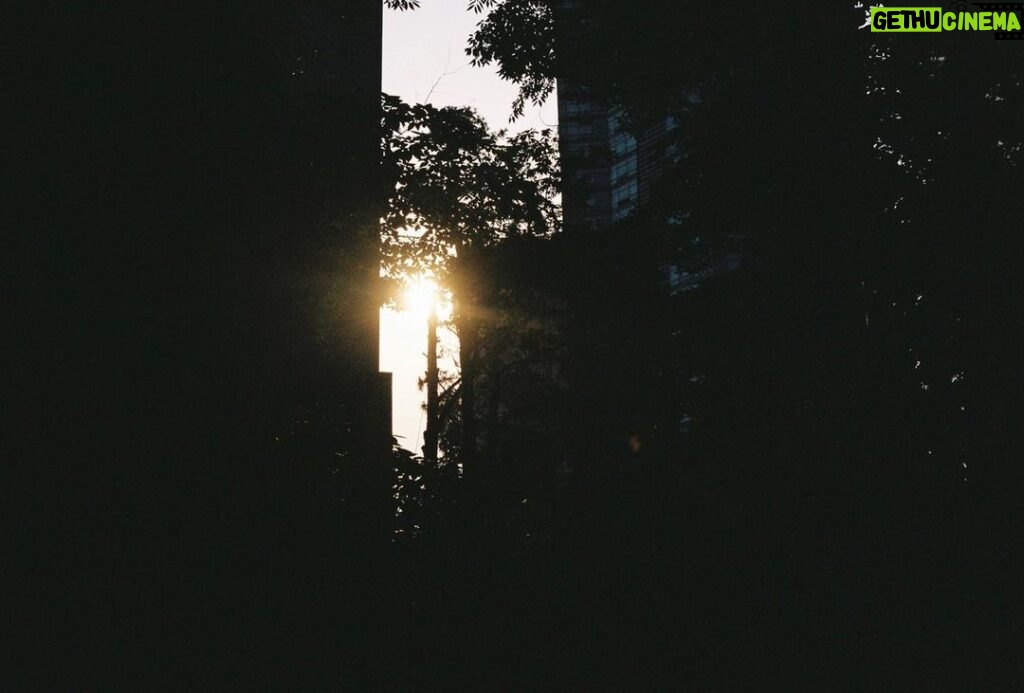 Yesung Instagram - 이른 새벽 예쁜 꿈들이 붐비는 소리