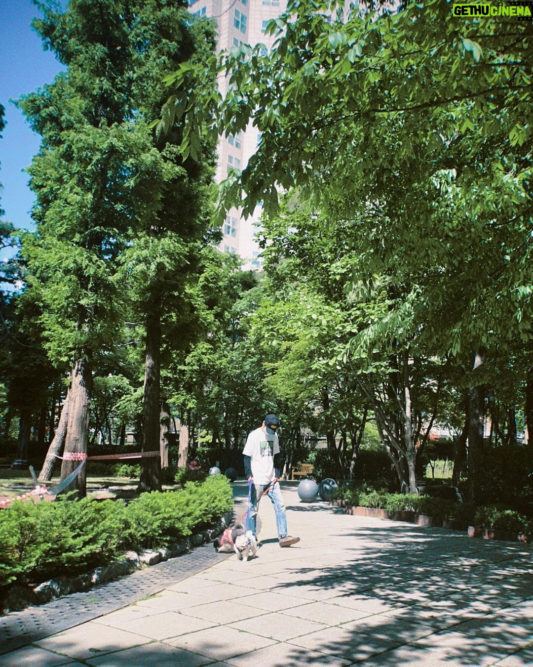 Yesung - 153.8K Likes - ģ ģ”ģ“ė ģ ģ”ģ“ė¤ š¾š¾ #ģ°ģ±
