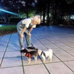 Yesung Instagram - paseo en un día soleado de hace dos años 🐾🐾
