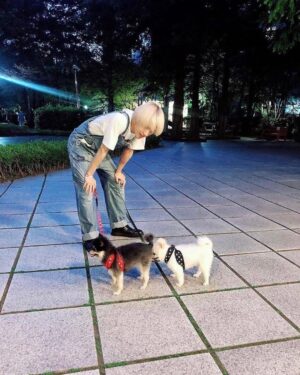 Yesung Instagram - paseo en un día soleado de hace dos años 🐾🐾