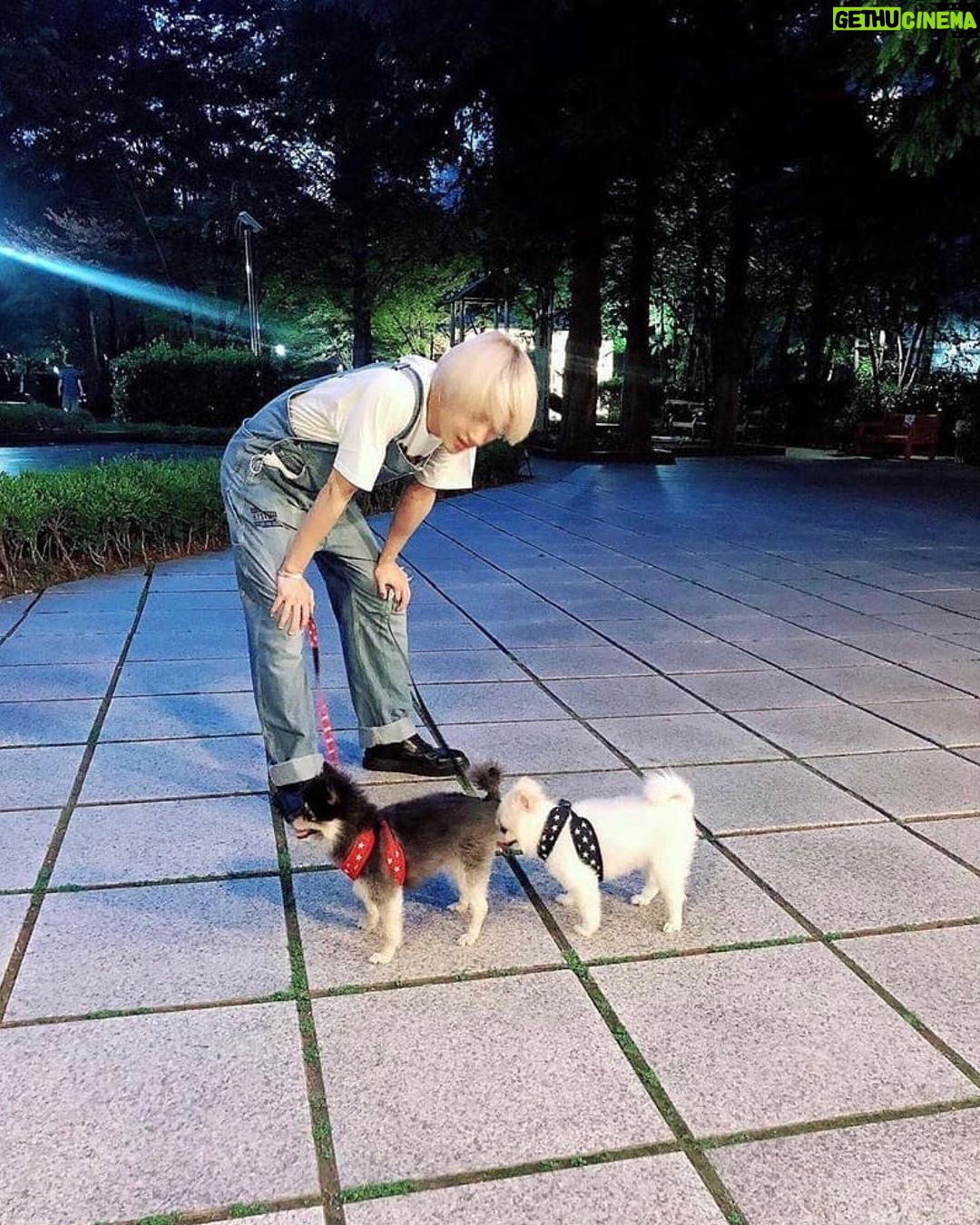 Yesung - 198.9K Likes - paseo en un día soleado de hace dos años 🐾🐾