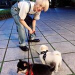 Yesung Instagram - paseo en un día soleado de hace dos años 🐾🐾