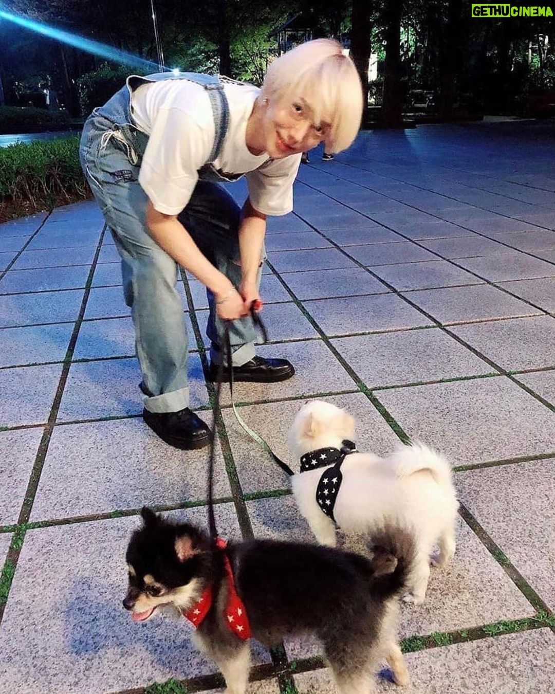 Yesung - 198.9K Likes - paseo en un día soleado de hace dos años 🐾🐾